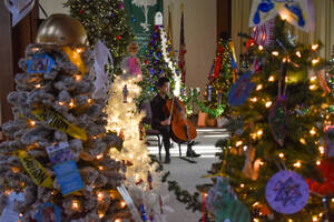Carousel image cdfbb494c34187a5aa51 festival of trees