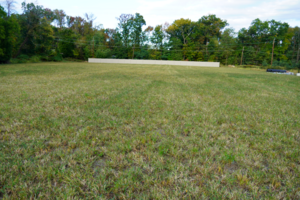 Carousel image fa03fad206c90a8c5cd8 field at orchid park in scotch plains dsc03625