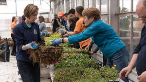 Carousel image 864c2b iscover oylestown building hanging flower baskets