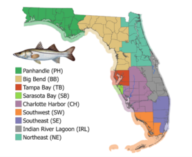 Carousel image d0857dcc23d77616b66c florida snook region boundary map original