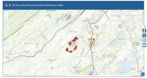 Carousel image 484916fe5fc865fd4dcb forest fire. map