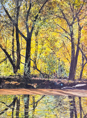 Carousel image aaa7fe36fd5531a8ab5f forest murmurs by raymond skibinski