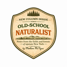 Carousel image 697c13d85583d1ad082d front old school naturalist