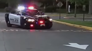 Carousel image 724f17421ff946603b04 from pd facebook video