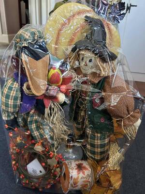 Carousel image db62aed33754b087f578 friends of the pember