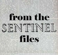 Carousel image f4bb3a59c8d1db64ec36 from the senitnel files