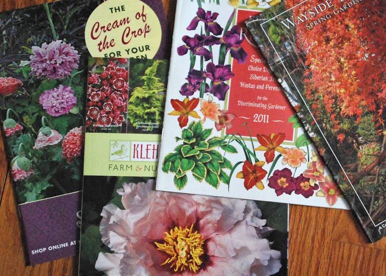 Navigating Garden Catalogs to Plan for the Season Ahead TAPinto