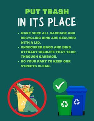 Carousel image 5e42aa97782db593a0df garbage bins with lids  1 