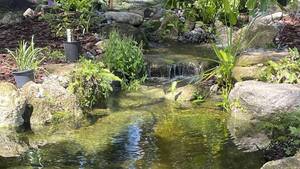 Carousel image 72419f864c1336e2ac81 garden 2 from the secret garden tour   city of melbourne