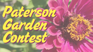 Carousel image 8eac5b8161dc719a989a garden contest ad   1040 x 585 px 