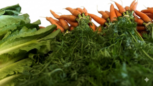 Carousel image clone 1725040 a3feeafde1448fec52c4 gemini generated image 7n1wkq7n1wkq7n1w