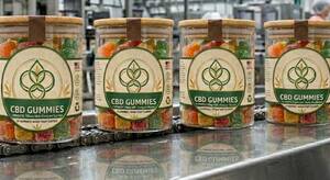 Carousel image fdbb21e7715e4384abc9 generic cbd gummy jars no branding google gemini