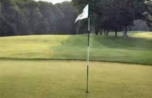 Carousel image 0daf94f4bea902ab1bcf golf3