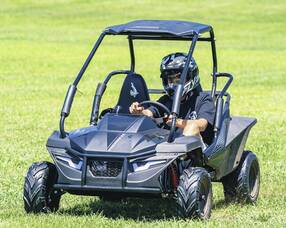 Carousel image 6c53686ad4ff5a7ae549 go carts 2