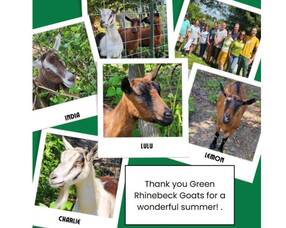 Carousel image clone 1713027 b2fa2bcb01d282b91a11 goats2025