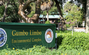 Carousel image a8364f5d254bc7f99a00 gumbo limbo