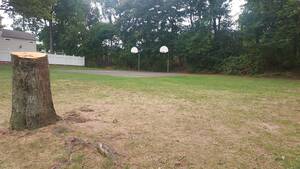 Carousel image a9756962f187a9a58ecd hasbrouck heights meirs park basketball courts