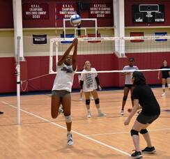 Carousel image bf6207423bb843229337 harvey volleyball preseason pic 1