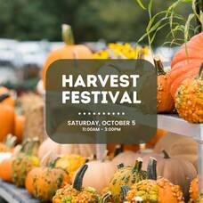 Carousel image c8caedc99cfb14045e3e harvest festival 2024