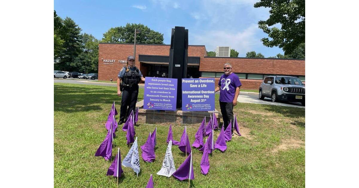 Hazlet Cares: Purple Flag Display in Hazlet Represents 27 Lives Lost to ...