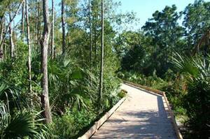 Carousel image 028c720efcf951c2f022 helene klein low boardwalk