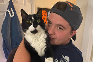 Carousel_image_e2c39fa793423d580903_helendelpopoloandhercatjamesbond