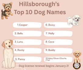 Carousel image 1eebd4d2f173ee1c5095 hillspixtoptendognames