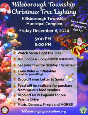 Carousel image 5cfb511956a634824299 hillspixxmastreelightin2024