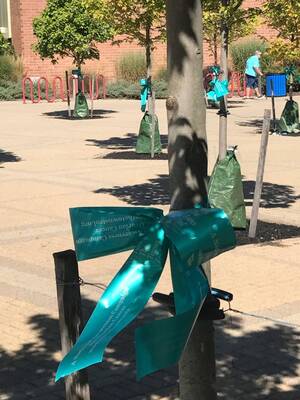 Carousel image 74c3ba5f80ba5055b24f hillspixteal2019trees