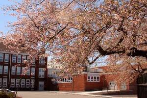 Carousel image 81d9d68dbe72dad93625 high school nutley april 2017 054