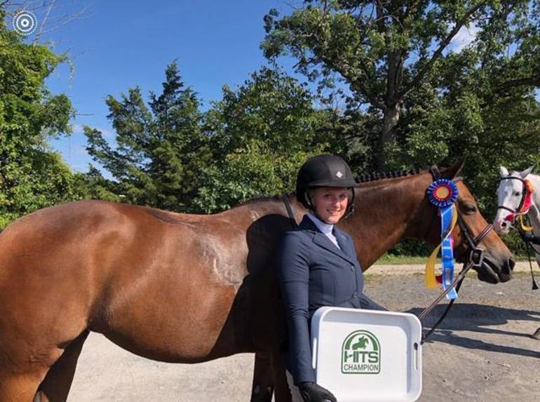 Speech about horse riding picture