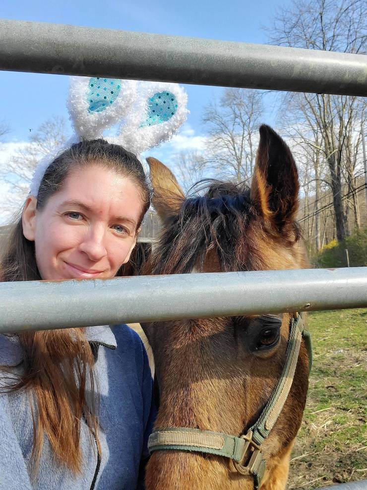 Horse.jpg