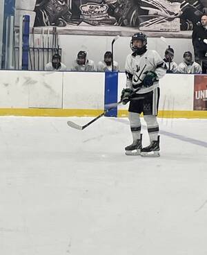 Carousel image 0d3468c5941b6ec4233a hockey1