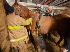 Carousel image 13722d arwick firefighters rescue horse