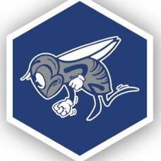 Carousel image 4b30a5c07f119529971c holmdel hornets bee