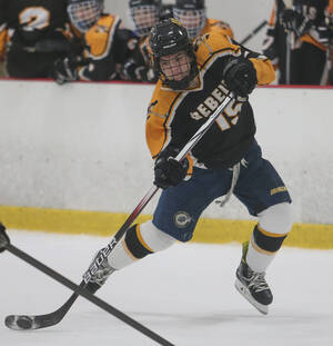 Carousel image 71880cb0a9f1c360ef4b hockey 2 ah0u7068