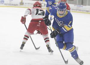 Carousel image 7c1a37eccd3434e2f6c6 hockey