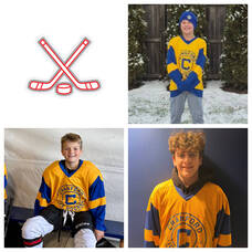 Carousel image 9c6806ca2f640362a4c1 hockey2