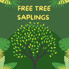 Carousel image d580c54e379af3c78c49 illustration world tree day instagram post