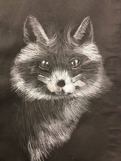 IMG_FOX.jpg