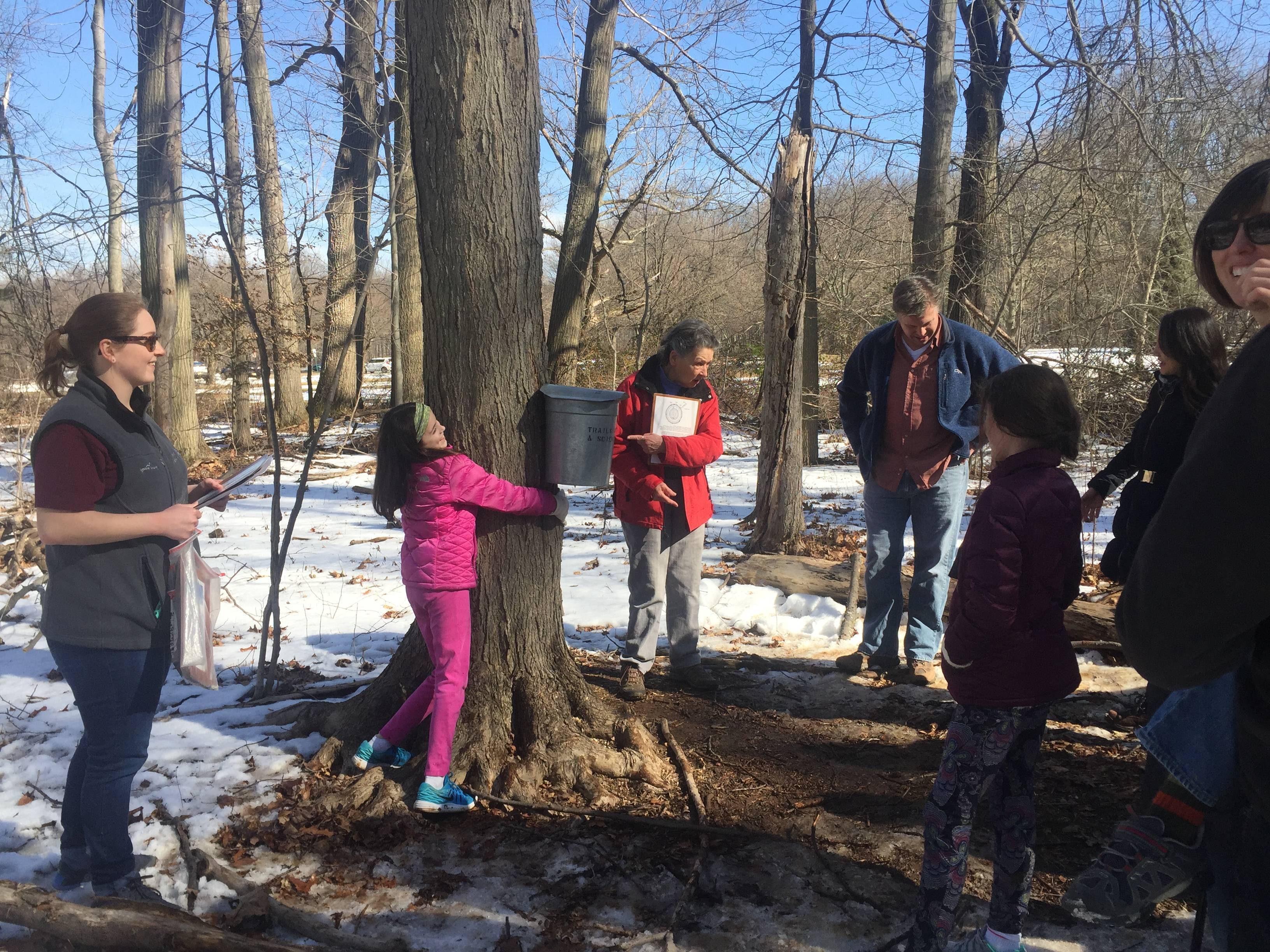 10 Ways to Enjoy Maple Sugaring in New Jersey This Month TAPinto