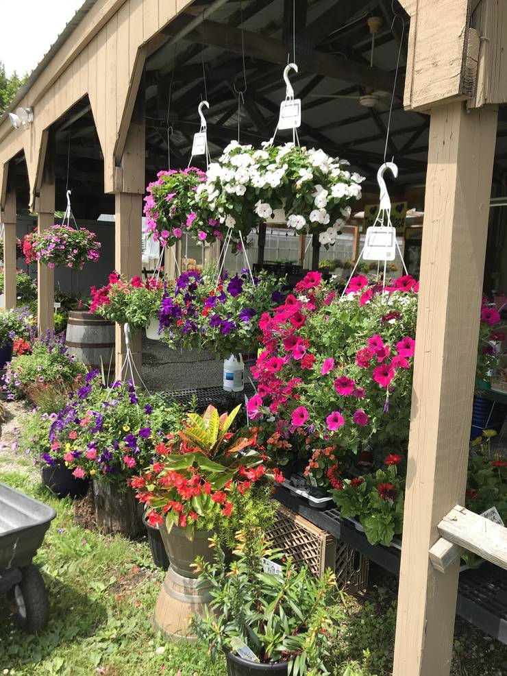 Farm Fresh To Table: Fairfield Farms & Greenhouses Open Daily | TAPinto