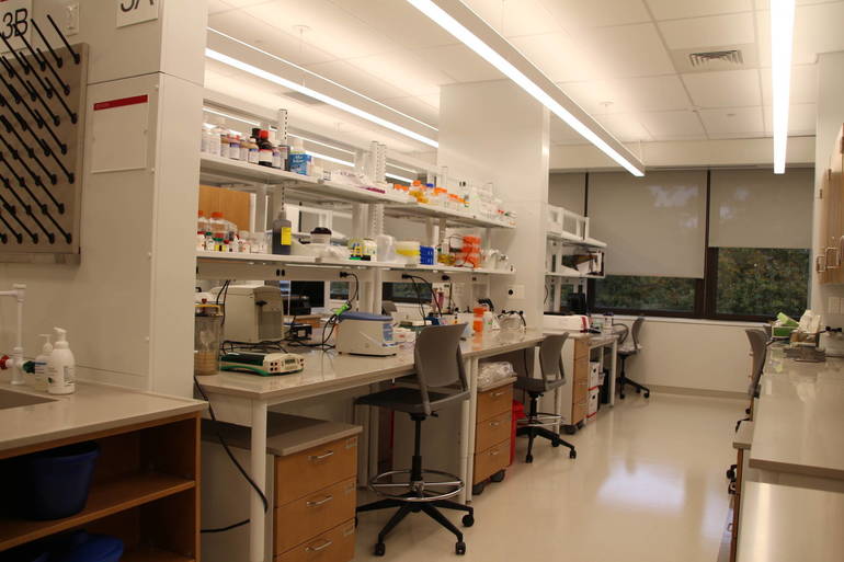 Research at Rutgers Dental School's New Labs Goes Beyond Oral Hygiene