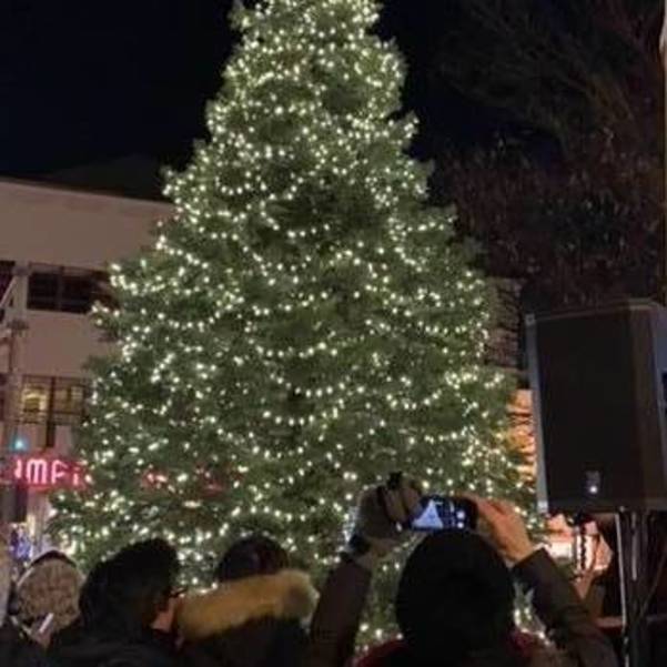 Montclair Christmas Tree Lighting 2022 Tree Lighting To Take Place Tonight In Montclair | Montclair, Nj News  Tapinto