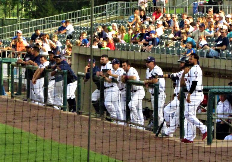 Somerset Patriots To Become Yankees Aa Affiliate Tapinto