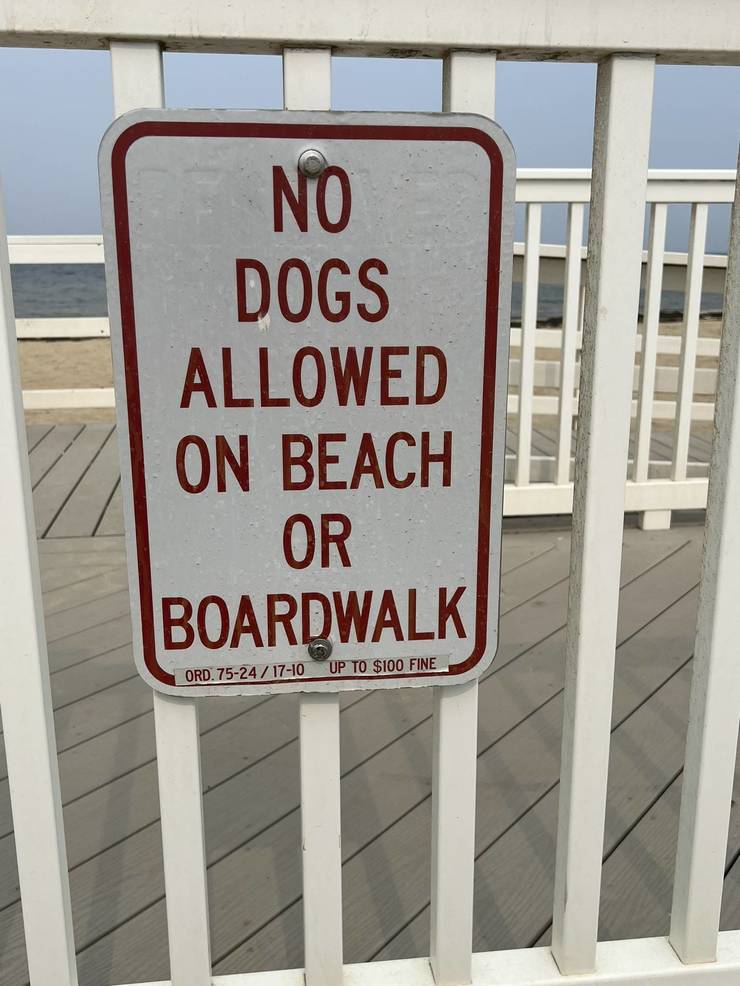 Are Dogs Allowed At The Boardwalk