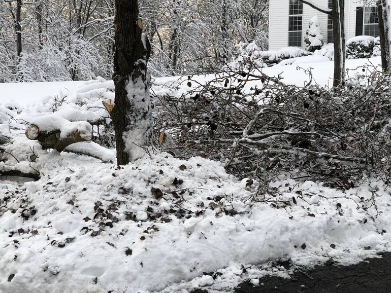 Sparta's First Snow Storm of the Season TAPinto