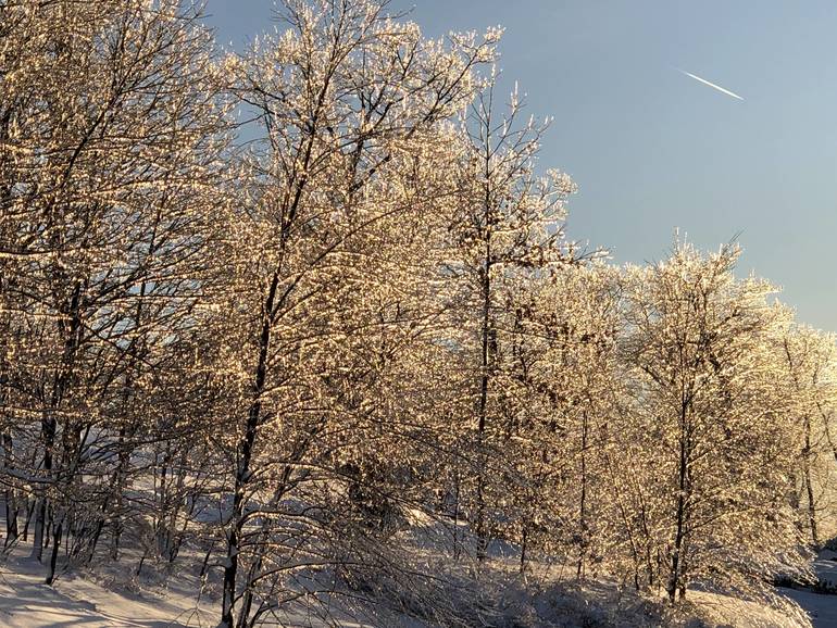 Sparta's First Snow Storm of the Season TAPinto