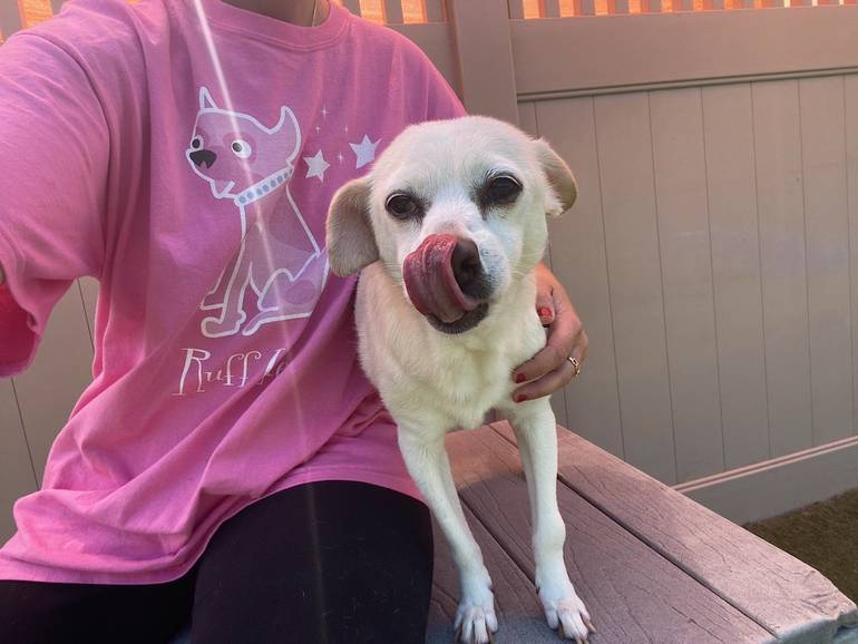 The Barker Lounge Dog Daycare, Boarding & Grooming Facility to Open in