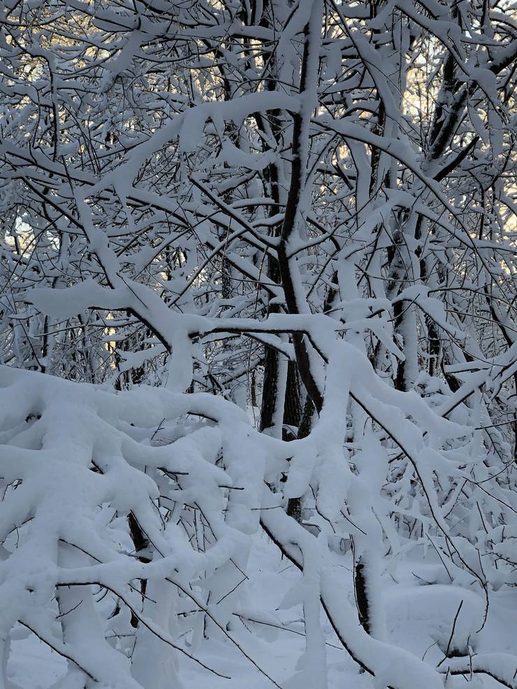 Sparta's First Snow Storm of the Season TAPinto